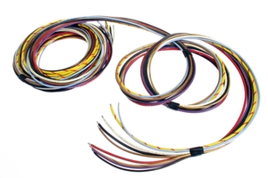 <span style= >Engine Wiring Harness</span><span style=color: #535353; > </span><span style= >16 Extension Replacement, Diesel</span>