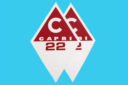 <span style= >Mainsl Cover Insignia CP-22</span>